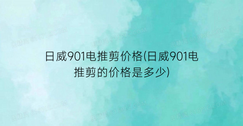 日威901电推剪价格(日威901电推剪的价格是多少)