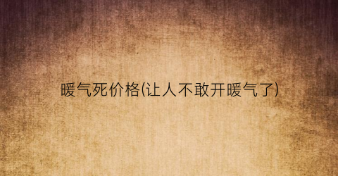 暖气死价格(让人不敢开暖气了)