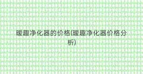 暧趣净化器的价格(暧趣净化器价格分析)