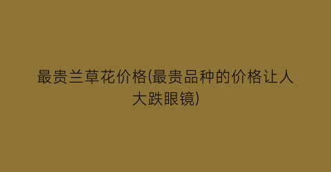 最贵兰草花价格(最贵品种的价格让人大跌眼镜)