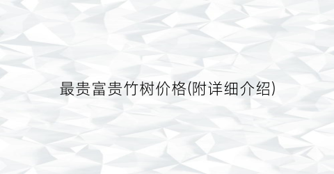 “最贵富贵竹树价格(附详细介绍)