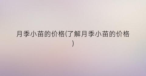 月季小苗的价格(了解月季小苗的价格)
