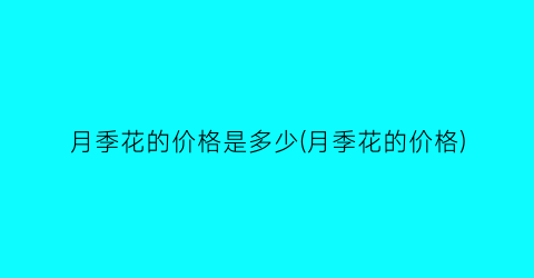 月季花的价格是多少(月季花的价格)
