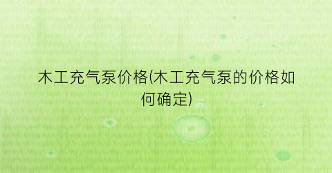 木工充气泵价格(木工充气泵的价格如何确定)