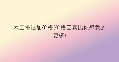 木工排钻加价格(价格因素比你想象的更多)