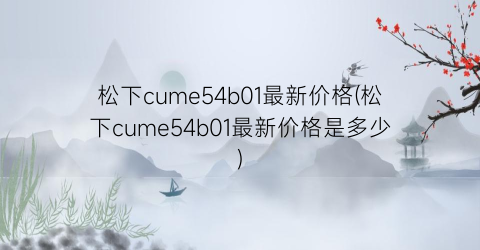 松下cume54b01最新价格(松下cume54b01最新价格是多少)