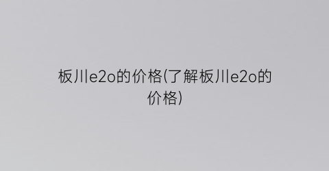 板川e2o的价格(了解板川e2o的价格)