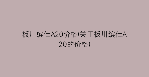 板川缤仕A20价格(关于板川缤仕A20的价格)