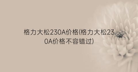 格力大松230A价格(格力大松230A价格不容错过)