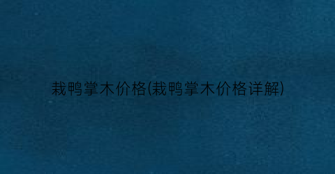 栽鸭掌木价格(栽鸭掌木价格详解)