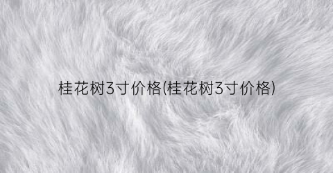 桂花树3寸价格(桂花树3寸价格)