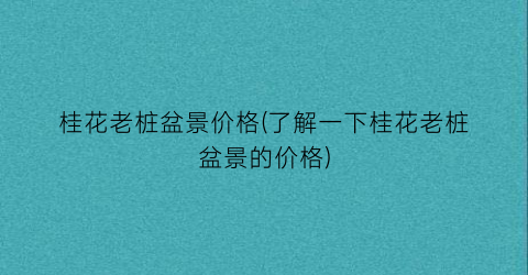 “桂花老桩盆景价格(了解一下桂花老桩盆景的价格)