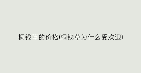 桐钱草的价格(桐钱草为什么受欢迎)