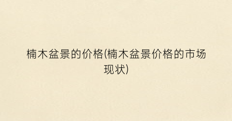 楠木盆景的价格(楠木盆景价格的市场现状)