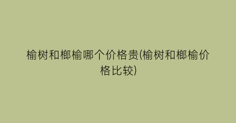 榆树和榔榆哪个价格贵(榆树和榔榆价格比较)