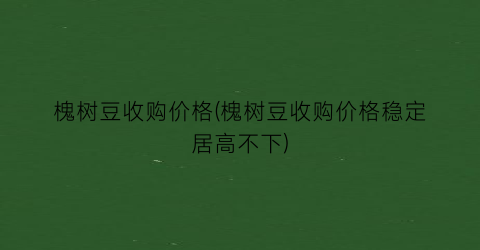 槐树豆收购价格(槐树豆收购价格稳定居高不下)
