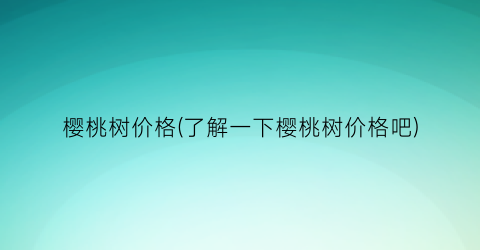 樱桃树价格(了解一下樱桃树价格吧)