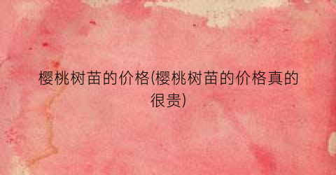 樱桃树苗的价格(樱桃树苗的价格真的很贵)