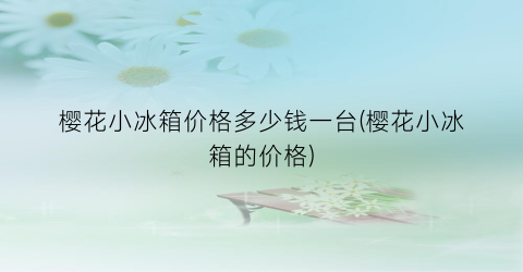 樱花小冰箱价格多少钱一台(樱花小冰箱的价格)