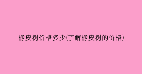 橡皮树价格多少(了解橡皮树的价格)