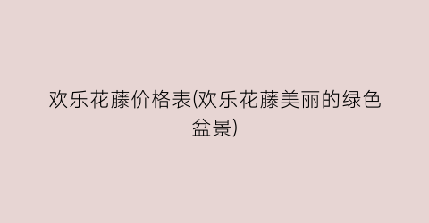 欢乐花藤价格表(欢乐花藤美丽的绿色盆景)