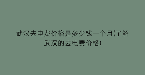 “武汉去电费价格是多少钱一个月(了解武汉的去电费价格)