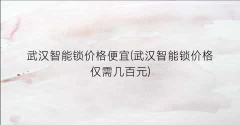 武汉智能锁价格便宜(武汉智能锁价格仅需几百元)