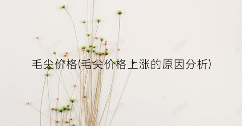 “毛尖价格(毛尖价格上涨的原因分析)