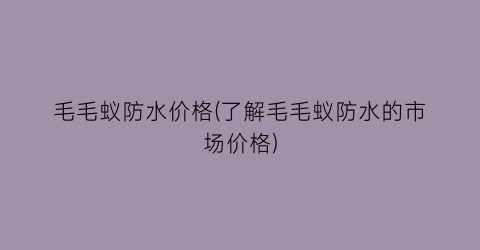 毛毛蚁防水价格(了解毛毛蚁防水的市场价格)