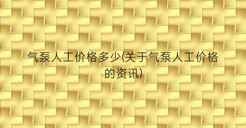 气泵人工价格多少(关于气泵人工价格的资讯)