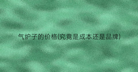 气炉子的价格(究竟是成本还是品牌)