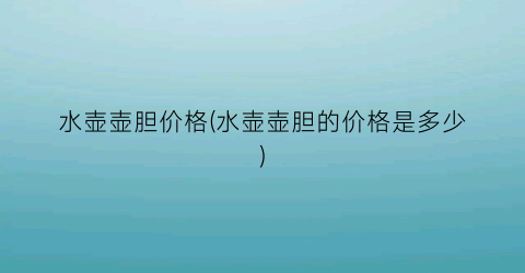 水壶壶胆价格(水壶壶胆的价格是多少)