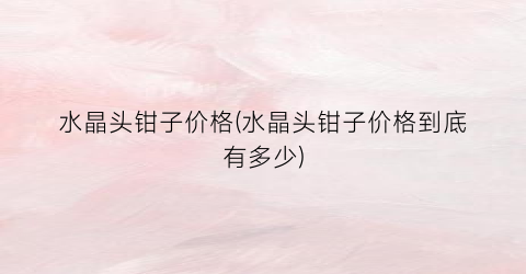 水晶头钳子价格(水晶头钳子价格到底有多少)