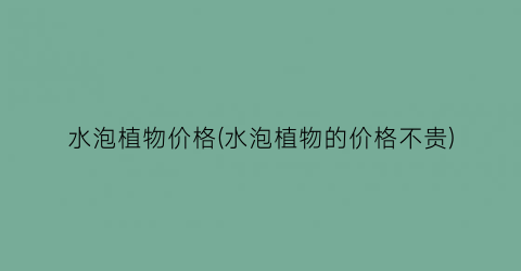 水泡植物价格(水泡植物的价格不贵)