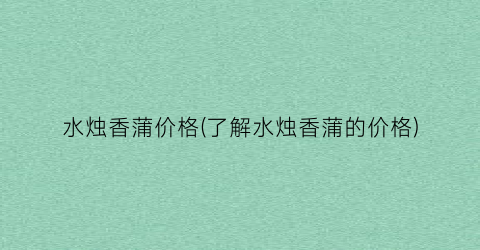 水烛香蒲价格(了解水烛香蒲的价格)