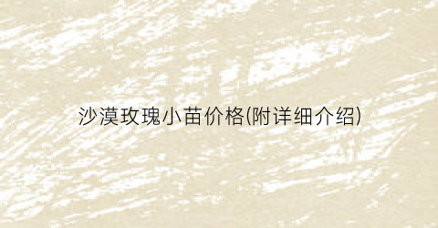 沙漠玫瑰小苗价格(附详细介绍)