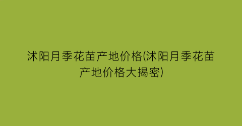 沭阳月季花苗产地价格(沭阳月季花苗产地价格大揭密)