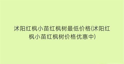 沭阳红枫小苗红枫树最低价格(沭阳红枫小苗红枫树价格优惠中)