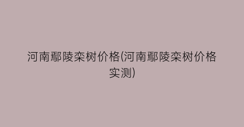 河南鄢陵栾树价格(河南鄢陵栾树价格实测)