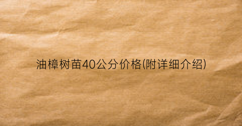 油樟树苗40公分价格(附详细介绍)