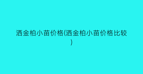 洒金柏小苗价格(洒金柏小苗价格比较)