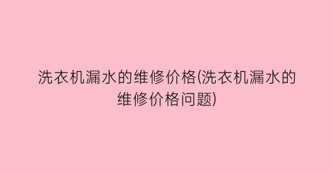 洗衣机漏水的维修价格(洗衣机漏水的维修价格问题)