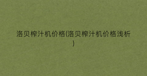 洛贝榨汁机价格(洛贝榨汁机价格浅析)