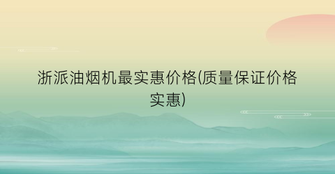 浙派油烟机最实惠价格(质量保证价格实惠)