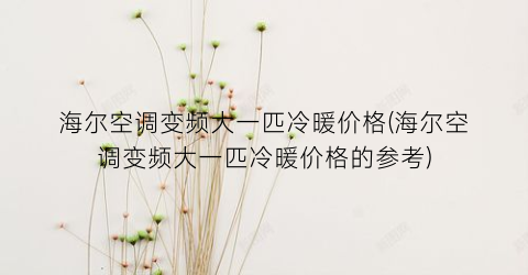 海尔空调变频大一匹冷暖价格(海尔空调变频大一匹冷暖价格的参考)