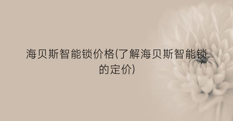 “海贝斯智能锁价格(了解海贝斯智能锁的定价)