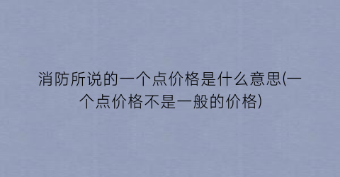 消防所说的一个点价格是什么意思(一个点价格不是一般的价格)