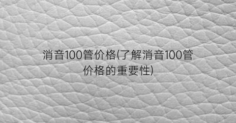 消音100管价格(了解消音100管价格的重要性)