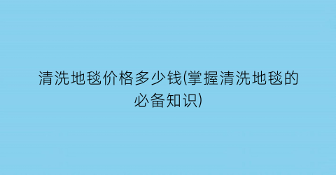 清洗地毯价格多少钱(掌握清洗地毯的必备知识)