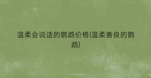温柔会说话的鹦鹉价格(温柔善良的鹦鹉)